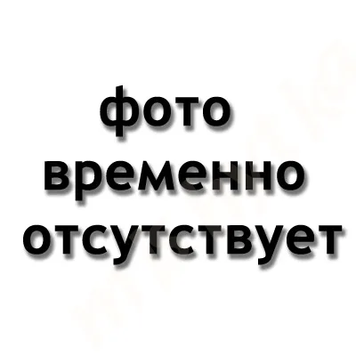 Арт. П-41-500-1,2 Канюля для промывания аттика диам.1,2 мм
