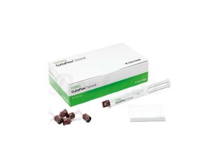ROEKO GuttaFlow bioseal